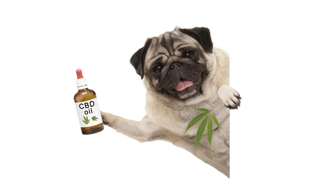 CBD Marketing, Where to Aim and What to Avoid