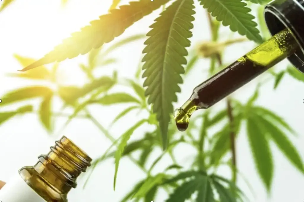 CBG and CBD medical use