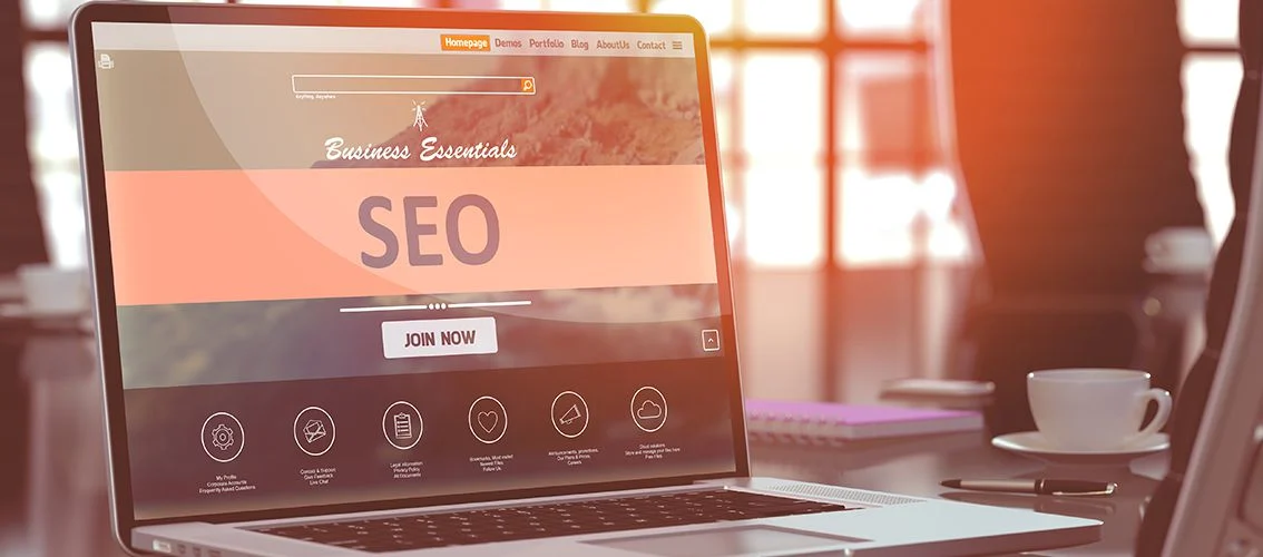 SEO Consultancy in Canada